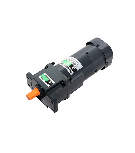 120w固定速度ブレーキミニチュアACギヤモータ